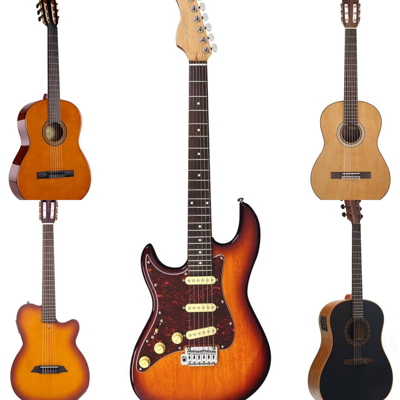 Gitarren & Bässe – Von klassischen Gitarren bis zu modernen Bassgitarren category icon/image