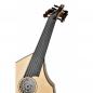 Preview: Professional Turkisch  Elektro Ud