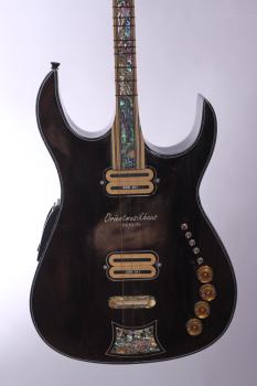 Profi Flacht Elektro Saz Bağlama Langhals