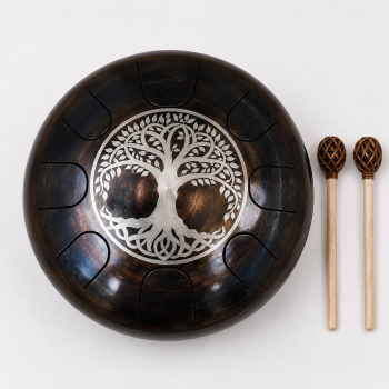 Steel Tongue Drum D Kurd mit 10 Tönen
