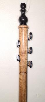 Kurbis Geige-Spike Fiddle