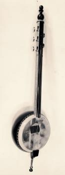 Kurbis Geige-Spike Fiddle