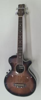 Farida Acoustic Guitar WS 600 LM