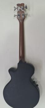 Preview: Farida Acoustic Guitar WS 600 LM