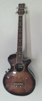 Spacer E Bass guitar  Gebraucht