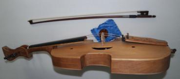 Viola Gambe (Besondere)