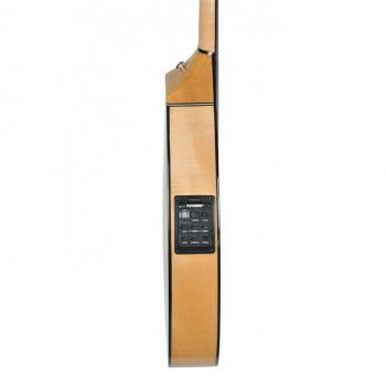 Professional Turkisch  Elektro Ud