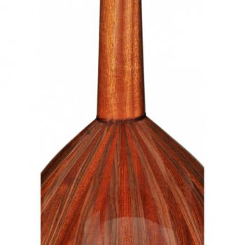 UD - OUD