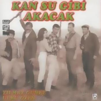 Kan su Gibi Akacak (VCD)
