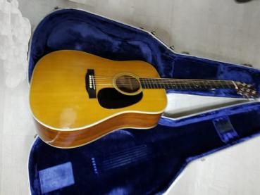 Martin Guitar - DB-7