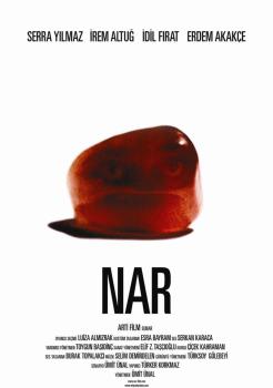 Nar (DVD),