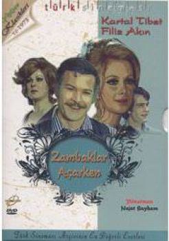 Zambaklar Acarken DVD