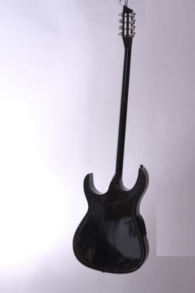 Profi Flacht Elektro Saz Bağlama Langhals