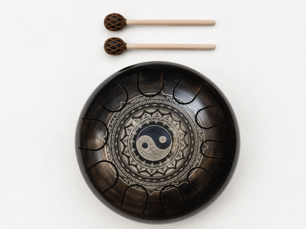 Steel Tongue Drum D Kurd mit 10 Tönen
