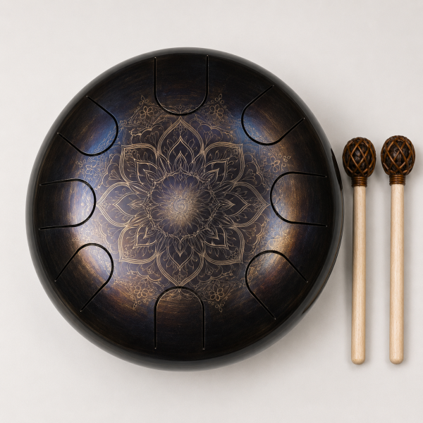Steel Tongue Drum D Kurd mit 10 Tönen