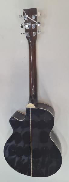 Farida Acoustic Guitar WS 600 LM