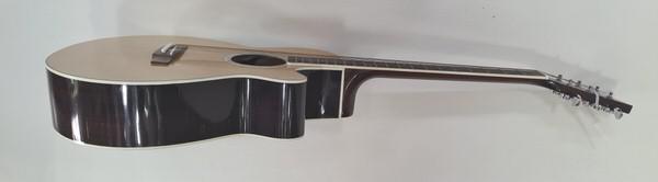 Farida Acoustic Guitar WS 600 LM