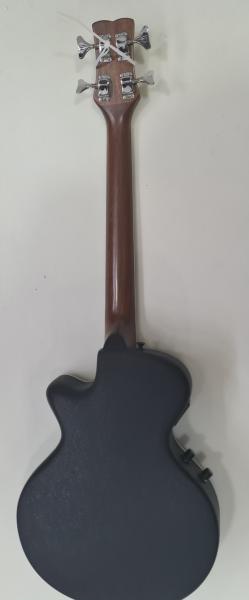 Farida Acoustic Guitar WS 600 LM