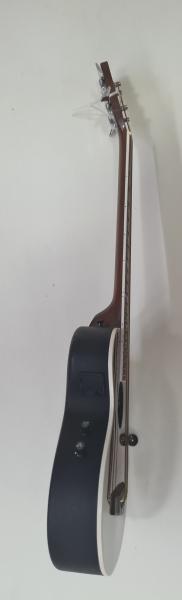 Farida Acoustic Guitar WS 600 LM