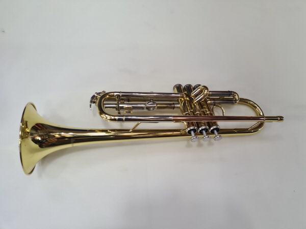 Startone Trompete