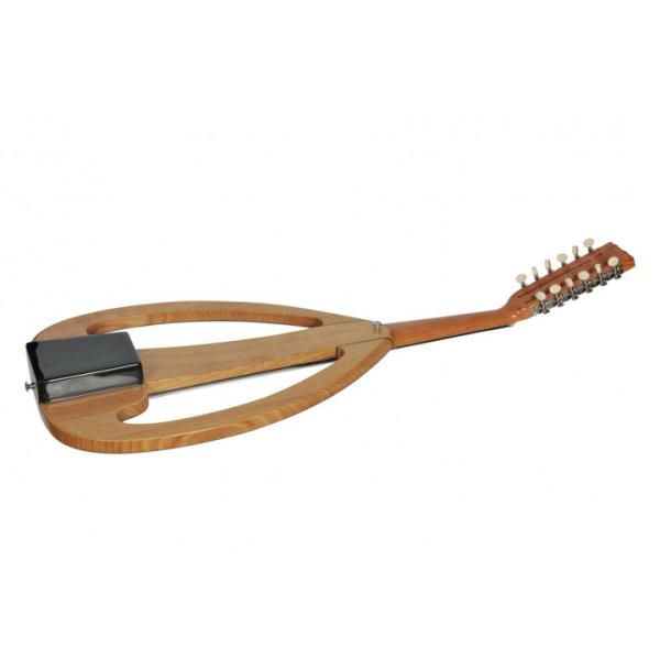 UD - OUD