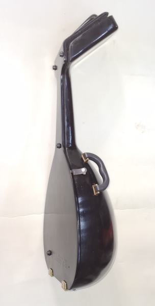 Lute,Laute,Lauta Hardcase Made in Sandi