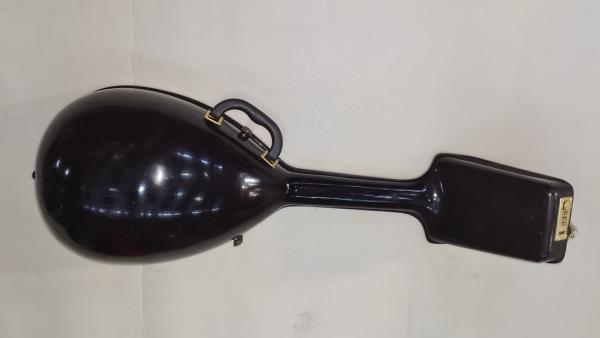 Lute,Laute,Lauta Hardcase Made in Sandi