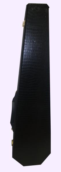 Elektro Saz Hardcase