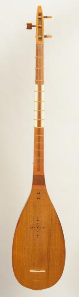 Professional Shourangiz