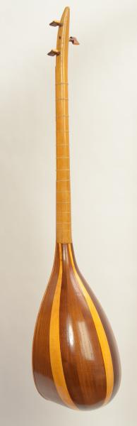 Professional Shourangiz