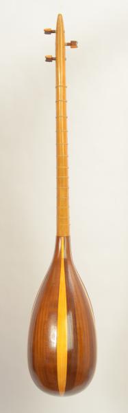 Professional Shourangiz