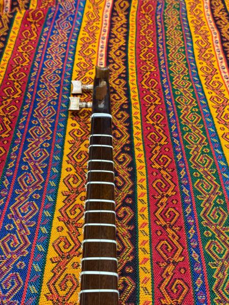 Persian-Setar-Meister-Ghazal
