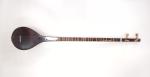 Setar - Persian Long Necked Lute
