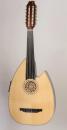 Professional Cutaway OUD