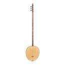Tambur  w. Plectrum